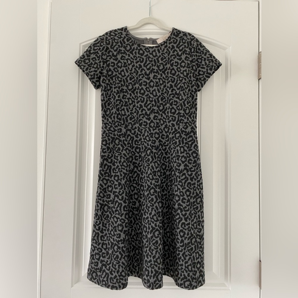 Women’s Loft Dress